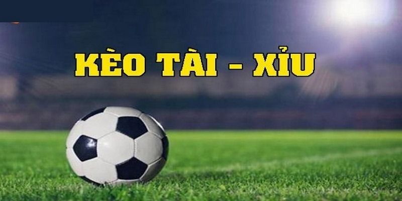 Các hình thức cược tại sảnh được bet thủ ưa chuộng
